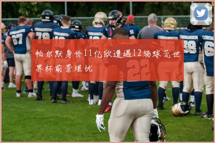 帕尔默身价11亿欧遭遇12场球荒世界杯前景堪忧