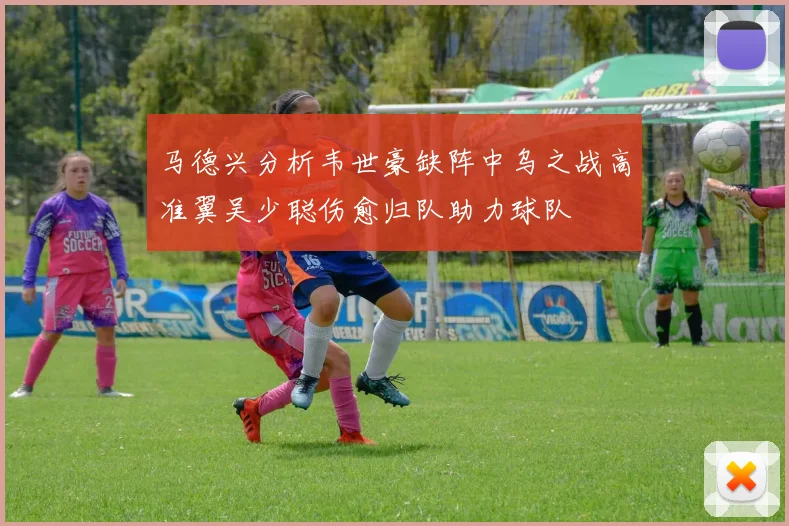 马德兴分析韦世豪缺阵中乌之战高准翼吴少聪伤愈归队助力球队