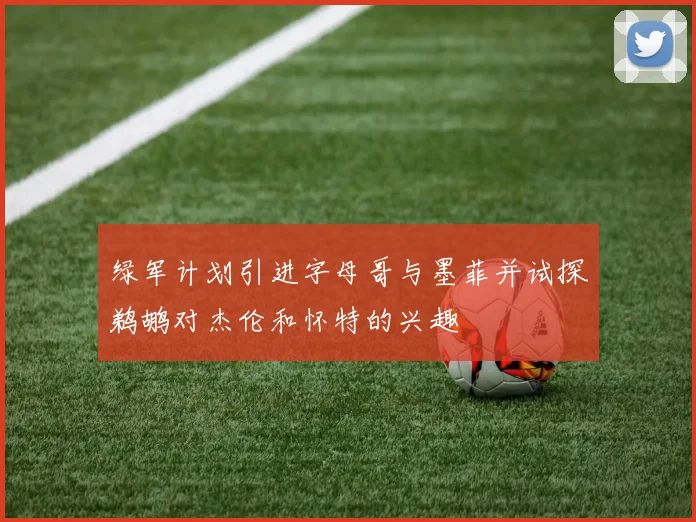 绿军计划引进字母哥与墨菲并试探鹈鹕对杰伦和怀特的兴趣